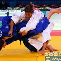 WCPARIS2011 90165